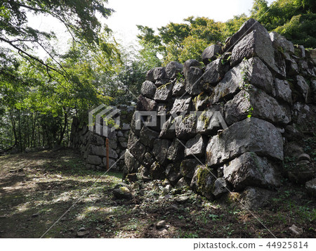 津和野（津和野城堡） 44925814