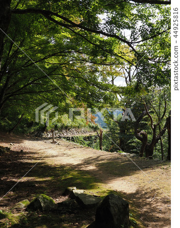 津和野（津和野城堡） 44925816