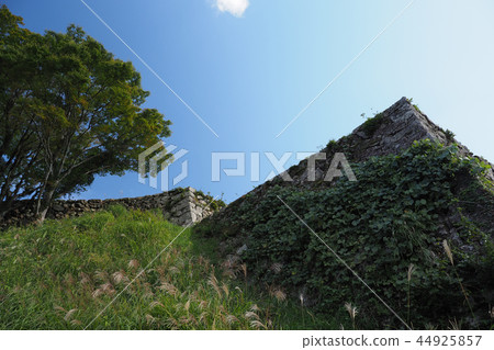 Tsuwano (Tsuwano Castle) 44925857