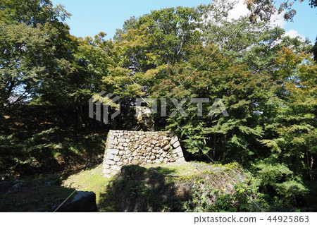 Tsuwano (Tsuwano Castle) 44925863