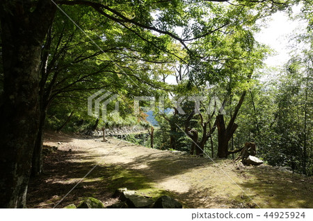 Tsuwano (Tsuwano Castle) Tsuwano (Tsuwano Castle) 44925924