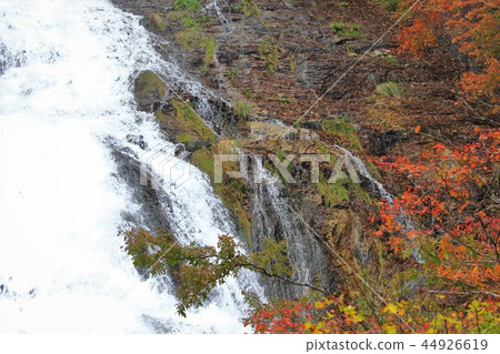 Autumn leaves of Oku Nikko Yutaki Autumn leaves of Oku Nikko Yutaki 44926619