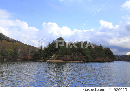 Autumn leaves in the back of the lake Autumn leaves in the back of the lake 44926625