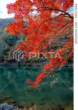 嵐山(秋葉11月) 嵐山(秋葉11月) 44927668