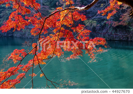 嵐山(秋葉11月) 嵐山(秋葉11月) 44927670