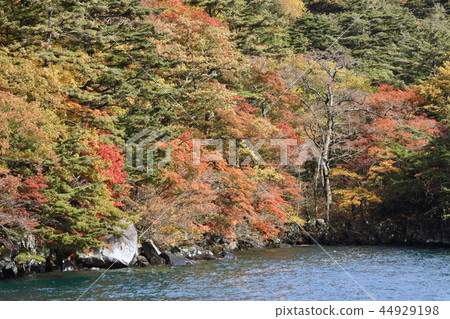 Autumn leaves scenery of Lake Towada (Aomori Prefecture) Autumn leaves scenery of Lake Towada (Aomori Prefecture) 44929198