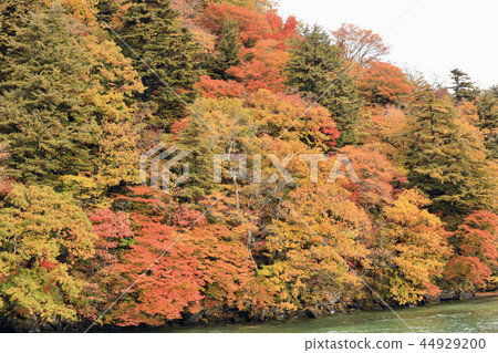 十和田湖(青森縣)的秋葉風景 十和田湖(青森縣)的秋葉風景 44929200