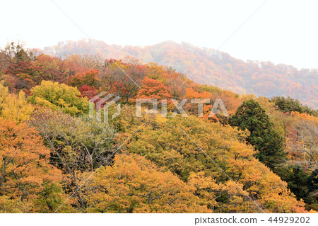 Autumn leaves scenery of Lake Towada (Aomori Prefecture) Autumn leaves scenery of Lake Towada (Aomori Prefecture) 44929202
