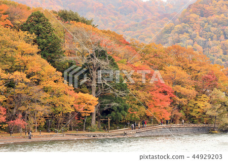 十和田湖(青森縣)的秋葉風景 十和田湖(青森縣)的秋葉風景 44929203