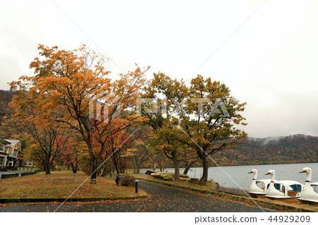 十和田湖(青森縣)的秋葉風景 十和田湖(青森縣)的秋葉風景 44929209