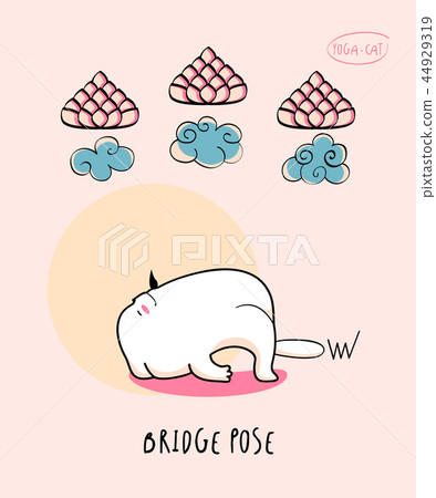 Yoga Cat in Bridge pose 44929319