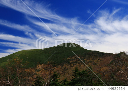The way to the summit of Mt. Shiomiyama in the Southern Alps 44929634