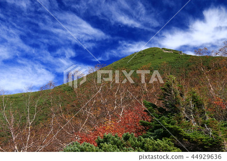 通往南阿爾卑斯山的山宮山頂的路 44929636