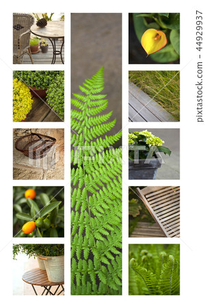 Flowers and plants Flowers and plants 44929937