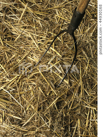 Fork in the straw 44930168