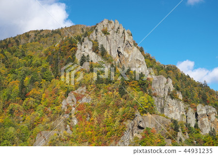 Autumn leaves of Toyohira Gorge 44931235