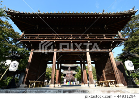 Fall Hakoshoshoji Temple Fall Hakoshoshoji Temple 44931294