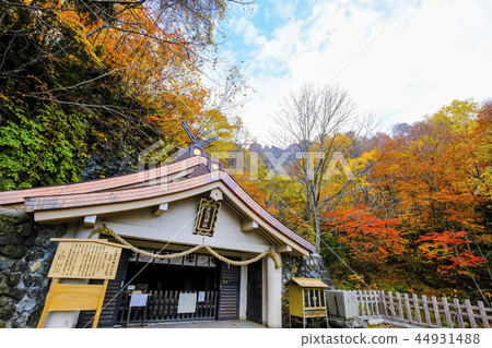 Autumn leaves of Togakushi Shrine Osha 44931488