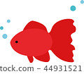 猩紅色的金魚 44931521