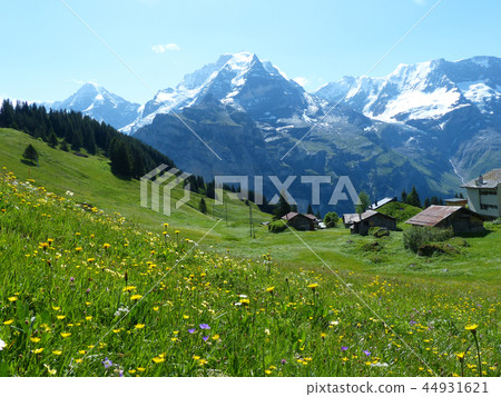 View of the hiking trail from Almento Hubel to Blumenthal View of the hiking trail from Almento Hubel to Blumenthal 44931621