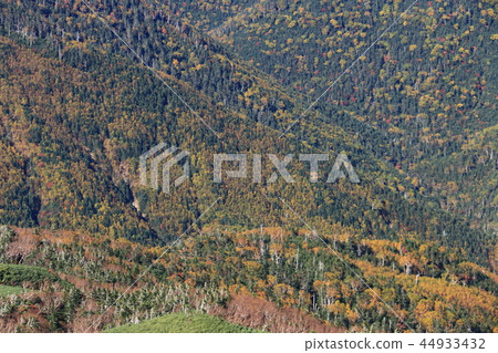 A way to the summit of Shiomiyama in the Southern Alps Autumn The valley of colored leaves seen from Mt. 44933432