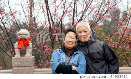 Asian senior couple with cherry blossom Asian senior couple with cherry blossom 44933481