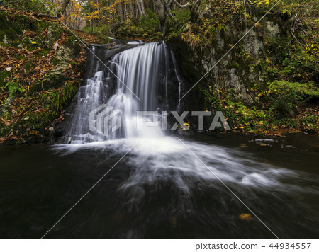 Utsue四十八瀑布（岐阜縣）秋天 44934557