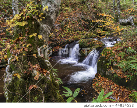 Utsue四十八瀑布(岐阜縣)秋天 Utsue四十八瀑布(岐阜縣)秋天 44934558