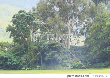 the nature of background at outdoor the nature of background at outdoor 44934697
