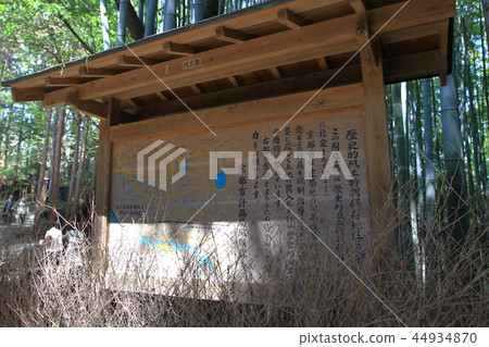 Bamboo forest landscape view at Arashiyama, Kyoto 44934870