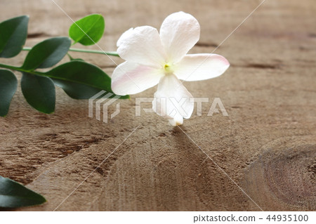 Jasmine White Princess Jasmine White Princess 44935100