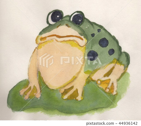 A frog A frog 44936142