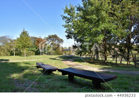 Chigasaki Satoyama Park in the fall Chigasaki Satoyama Park in the fall 44936233