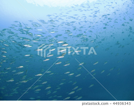 海景-007 海景-007 44936343