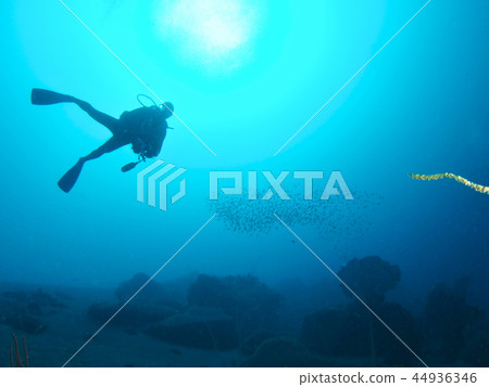 潛水員 潛水員 44936346