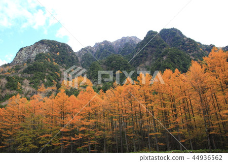 Autumn Kamikochi 44936562