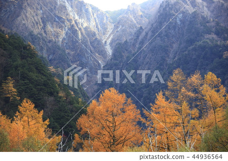 Autumn Kamikochi 44936564