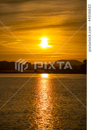 Shihwa，Ansan，Gyeonggi-do 44936683