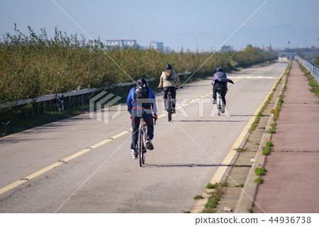 Shihwa，Ansan，Gyeonggi-do 44936738