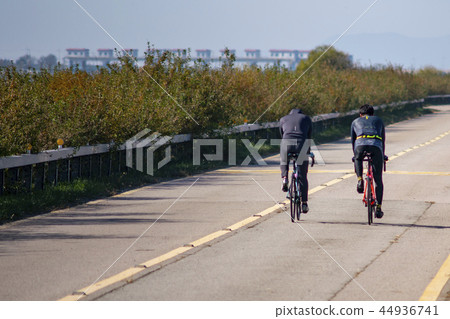 Shihwa，Ansan，Gyeonggi-do 44936741