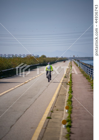 Shihwa，Ansan，Gyeonggi-do 44936743