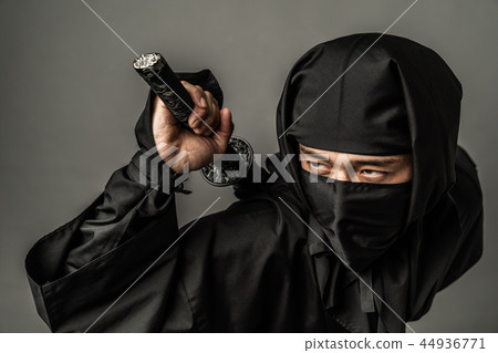 Ninja Ninja 44936771