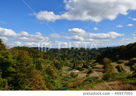 Rice terraces 44937005