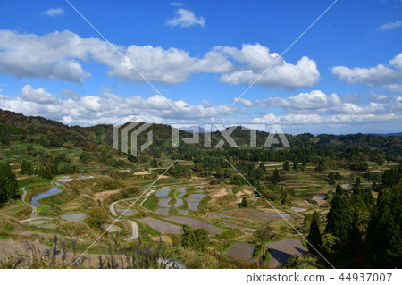 Rice terraces 44937007