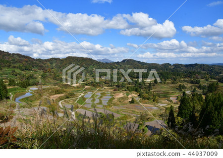 Rice terraces Rice terraces 44937009