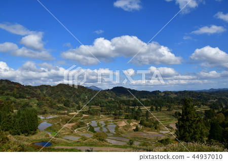 Rice terraces 44937010