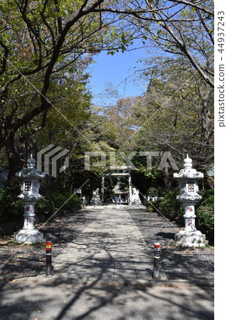 Hiratsuka City Maetori Shrine Hiratsuka City Maetori Shrine 44937243