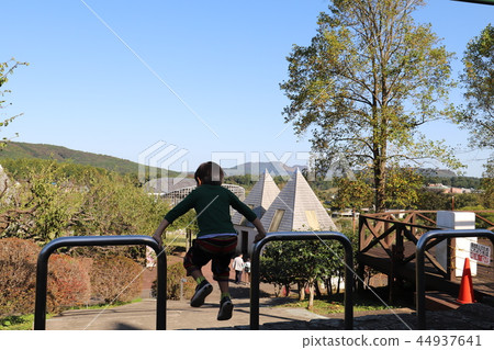 茨城縣花卉公園 茨城縣花卉公園 44937641
