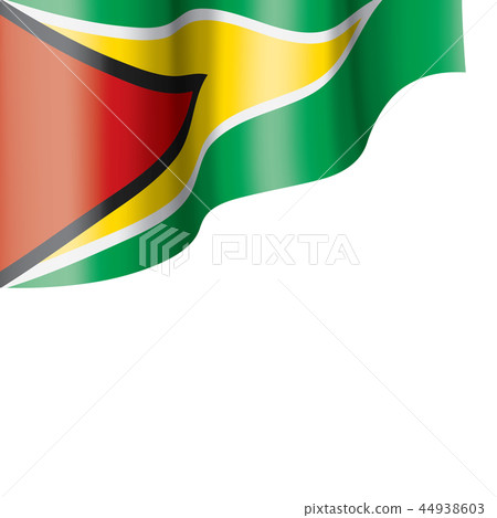 Guyana flag, vector illustration on a white background 44938603