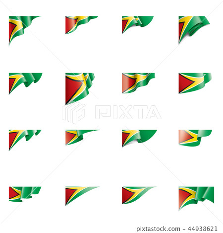Guyana flag, vector illustration on a white background 44938621